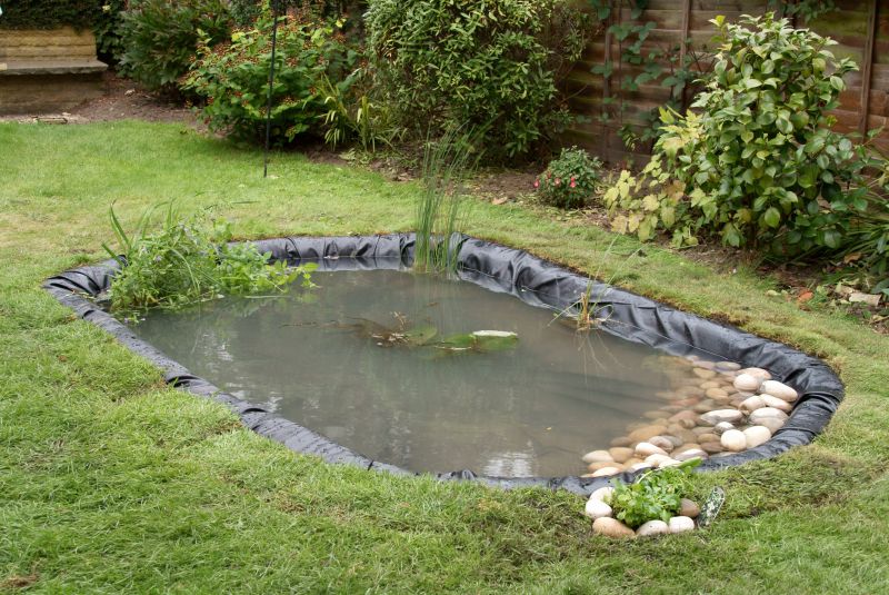 Pond Construction in Honolulu, HI
