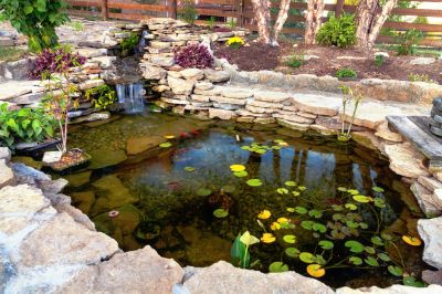 Fish Pond Installation in Ventura County, CA
