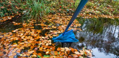 Pond Cleaning, Pond Cleaning, Washington